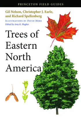 Nelson / Earle / Spellenberg |  Trees of Eastern North America | eBook | Sack Fachmedien