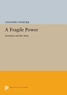 Mukerji |  A Fragile Power | eBook | Sack Fachmedien