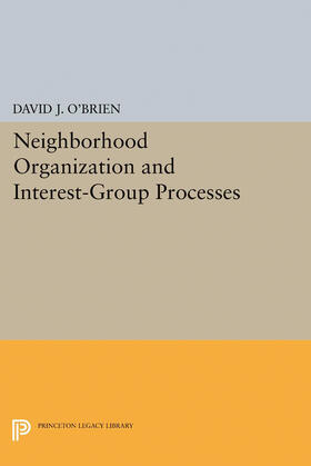 O'Brien |  Neighborhood Organization and Interest-Group Processes | eBook | Sack Fachmedien