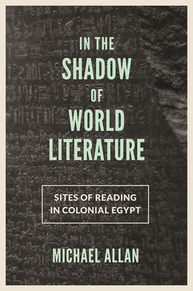 Allan |  In the Shadow of World Literature | eBook | Sack Fachmedien