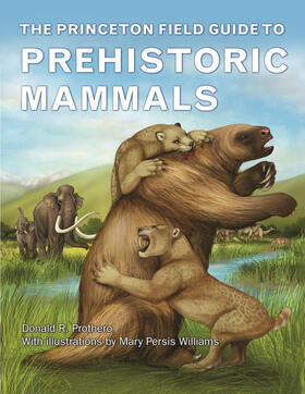 Prothero |  The Princeton Field Guide to Prehistoric Mammals | eBook | Sack Fachmedien