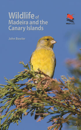Bowler |  Wildlife of Madeira and the Canary Islands | eBook | Sack Fachmedien
