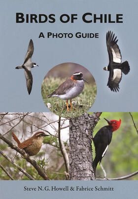 Howell / Schmitt |  Birds of Chile | eBook | Sack Fachmedien