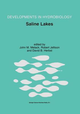 Melack / Herbst / Jellison |  Saline Lakes | Buch |  Sack Fachmedien