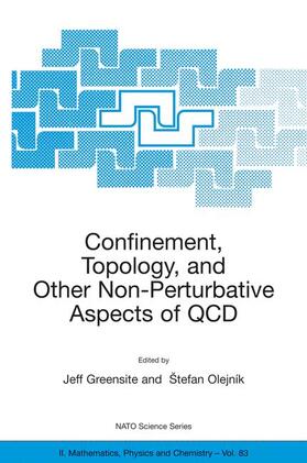 Olejník / Greensite |  Confinement, Topology, and Other Non-Perturbative Aspects of QCD | Buch |  Sack Fachmedien
