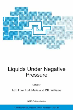 Imre / Williams / Maris |  Liquids Under Negative Pressure | Buch |  Sack Fachmedien