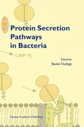 Oudega |  Protein Secretion Pathways in Bacteria | Buch |  Sack Fachmedien