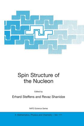 Steffens / Shanidze |  Spin Structure of the Nucleon | Buch |  Sack Fachmedien