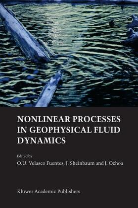 Velasco Fuentes / Ochoa / Sheinbaum |  Nonlinear Processes in Geophysical Fluid Dynamics | Buch |  Sack Fachmedien