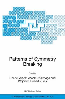 Arodz / Zurek / Dziarmaga |  Patterns of Symmetry Breaking | Buch |  Sack Fachmedien