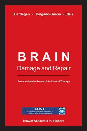 Herdegen / Delgado-Garcia |  Brain Damage and Repair | Buch |  Sack Fachmedien