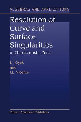 Kiyek / Vicente |  Resolution of Curve and Surface Singularities | Buch |  Sack Fachmedien