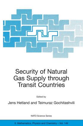 Gochitashvili / Hetland | Security of Natural Gas Supply through Transit Countries | Buch | 978-1-4020-2077-3 | sack.de