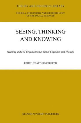 Carsetti |  Seeing, Thinking and Knowing | Buch |  Sack Fachmedien