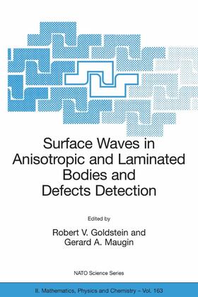 Goldstein / Maugin |  Surface Waves in Anisotropic and Laminated Bodies and Defects Detection | eBook | Sack Fachmedien