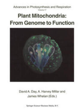 Day / Millar / Whelan |  Plant Mitochondria: From Genome to Function | eBook | Sack Fachmedien