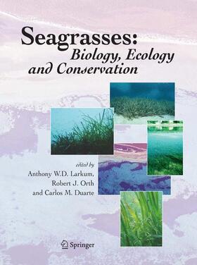 Larkum / Duarte / Orth |  Seagrasses: Biology, Ecology and Conservation | Buch |  Sack Fachmedien