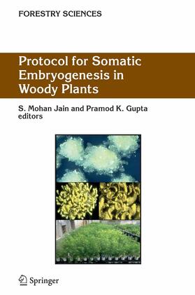 Jain / Gupta |  Protocol for Somatic Embryogenesis in Woody Plants | eBook | Sack Fachmedien