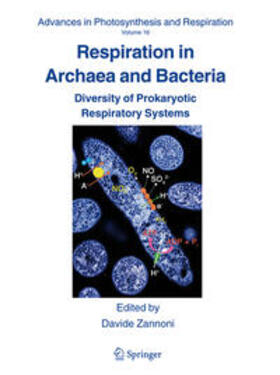 Zannoni |  Respiration in Archaea and Bacteria | eBook | Sack Fachmedien