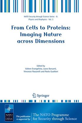Evangelista / Barsanti / Passarelli |  From Cells to Proteins | Buch |  Sack Fachmedien