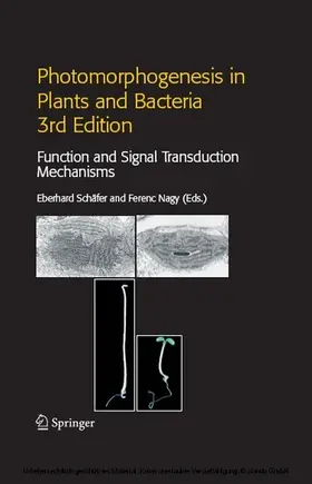 Schäfer / Nagy |  Photomorphogenesis in Plants and Bacteria | eBook | Sack Fachmedien