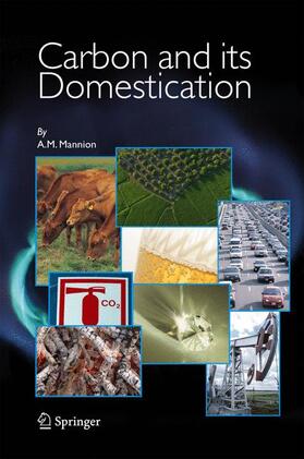 Mannion |  Carbon and Its Domestication | Buch |  Sack Fachmedien