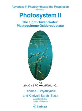 Wydrzynski / Satoh |  Photosystem II | Buch |  Sack Fachmedien