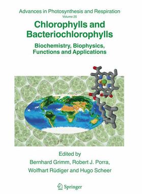 Grimm / Scheer / Porra |  Chlorophylls and Bacteriochlorophylls | Buch |  Sack Fachmedien
