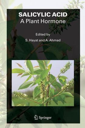 Ahmad / Hayat |  SALICYLIC ACID - A Plant Hormone | Buch |  Sack Fachmedien