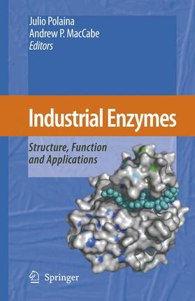 MacCabe / Polaina |  Industrial Enzymes | Buch |  Sack Fachmedien