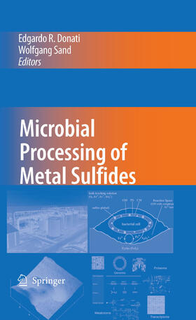 Donati / Sand |  Microbial Processing of Metal Sulfides | eBook | Sack Fachmedien