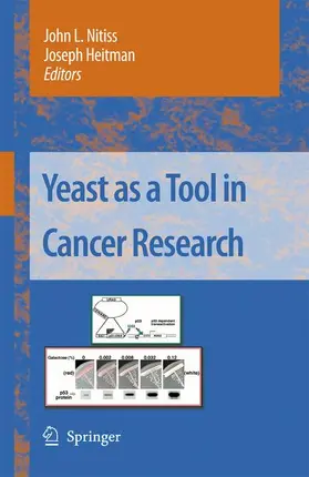 Heitman / Nitiss |  Yeast as a Tool in Cancer Research | Buch |  Sack Fachmedien