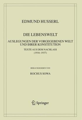 Husserl / Sowa |  Die Lebenswelt | Buch |  Sack Fachmedien