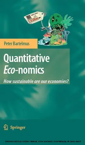 Bartelmus |  Quantitative Eco-nomics | eBook | Sack Fachmedien