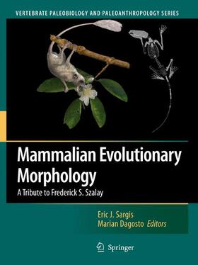 Dagosto / Sargis |  Mammalian Evolutionary Morphology | Buch |  Sack Fachmedien