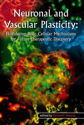 Maiese |  Neuronal and Vascular Plasticity | Buch |  Sack Fachmedien