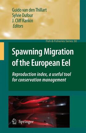 van den Thillart / Rankin / Dufour |  Spawning Migration of the European Eel | Buch |  Sack Fachmedien
