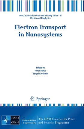 Kruchinin / Bonca |  Electron Transport in Nanosystems | Buch |  Sack Fachmedien