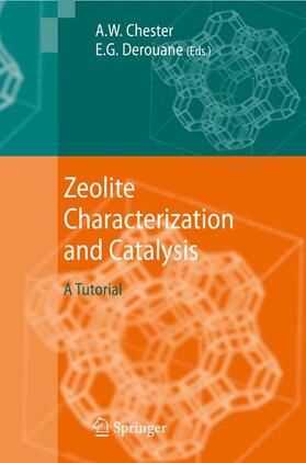 Chester / Derouane |  Zeolite Characterization and Catalysis | Buch |  Sack Fachmedien