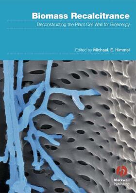 Himmel |  Biomass Recalcitrance | Buch |  Sack Fachmedien