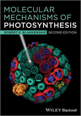 Blankenship |  MOLECULAR MECHANISMS OF PHOTOS | Buch |  Sack Fachmedien