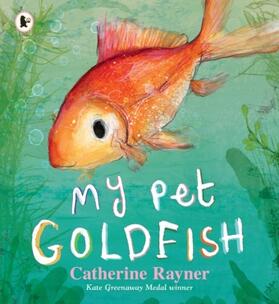 Rayner |  My Pet Goldfish | Buch |  Sack Fachmedien