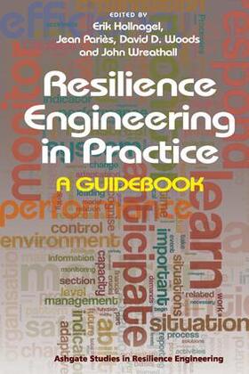 Pariès / Hollnagel / Wreathall |  Resilience Engineering in Practice | Buch |  Sack Fachmedien