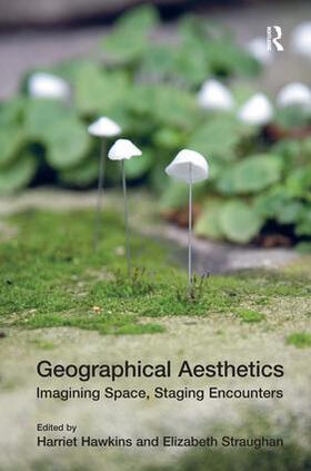 Straughan / Hawkins |  Geographical Aesthetics | Buch |  Sack Fachmedien