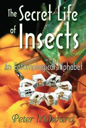 Milward |  The Secret Life of Insects | Buch |  Sack Fachmedien