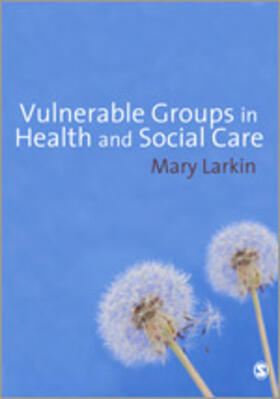 Larkin |  Vulnerable Groups in Health and Social Care | Buch |  Sack Fachmedien