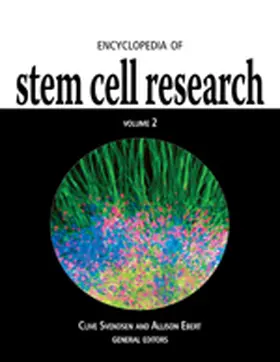 Svendsen / Ebert |  Encyclopedia of Stem Cell Research | Buch |  Sack Fachmedien