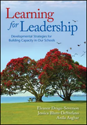 Drago-Severson / Blum-DeStefano / Asghar |  Learning for Leadership | Buch |  Sack Fachmedien