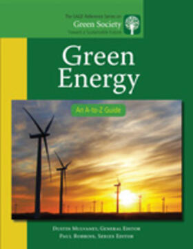 Mulvaney |  Green Energy | Buch |  Sack Fachmedien