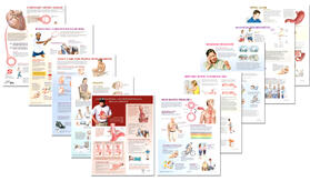  Netter Clinical Charts | Sonstiges |  Sack Fachmedien